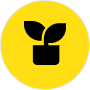 autonomia